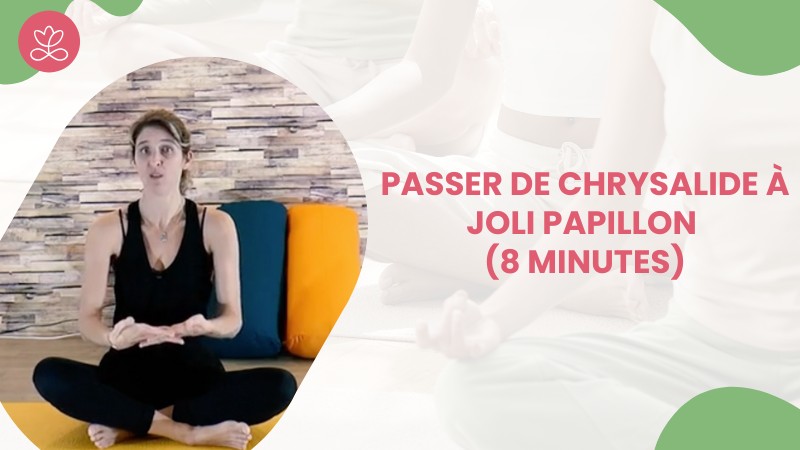 Jour 14 - Passer de chrysalide à joli papillon (8 minutes)